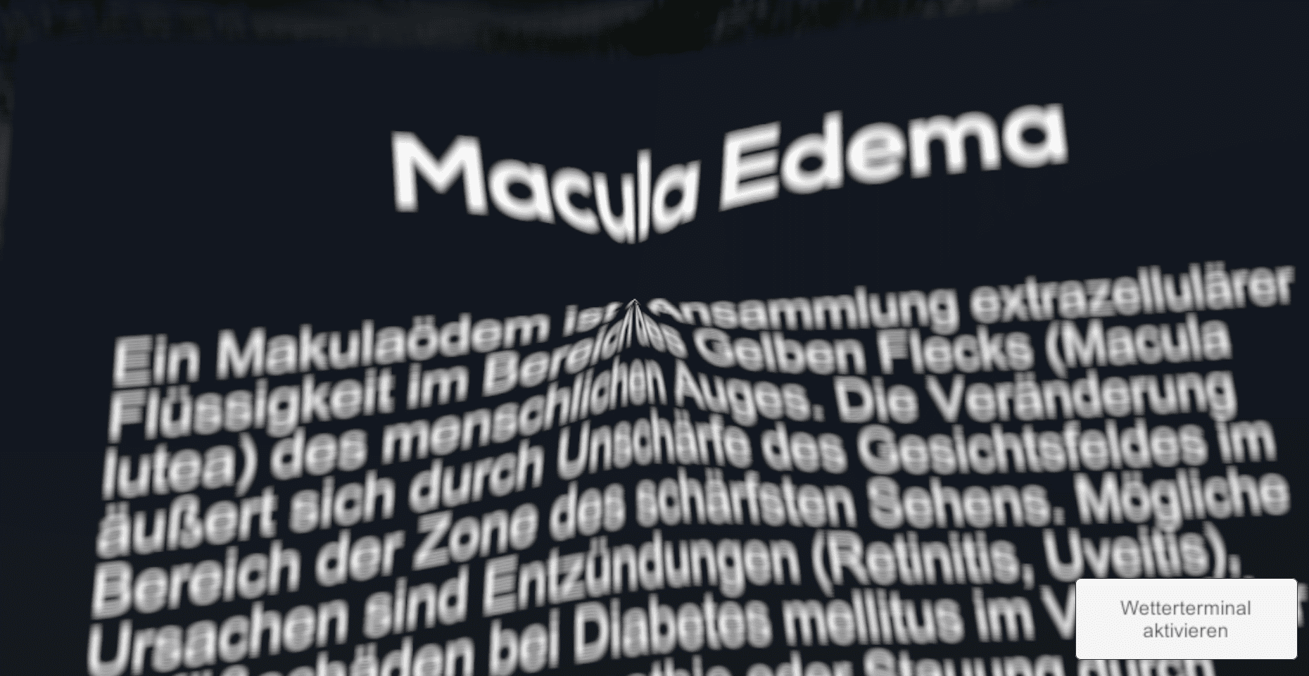 Vorschau aus dem VIP Simulator