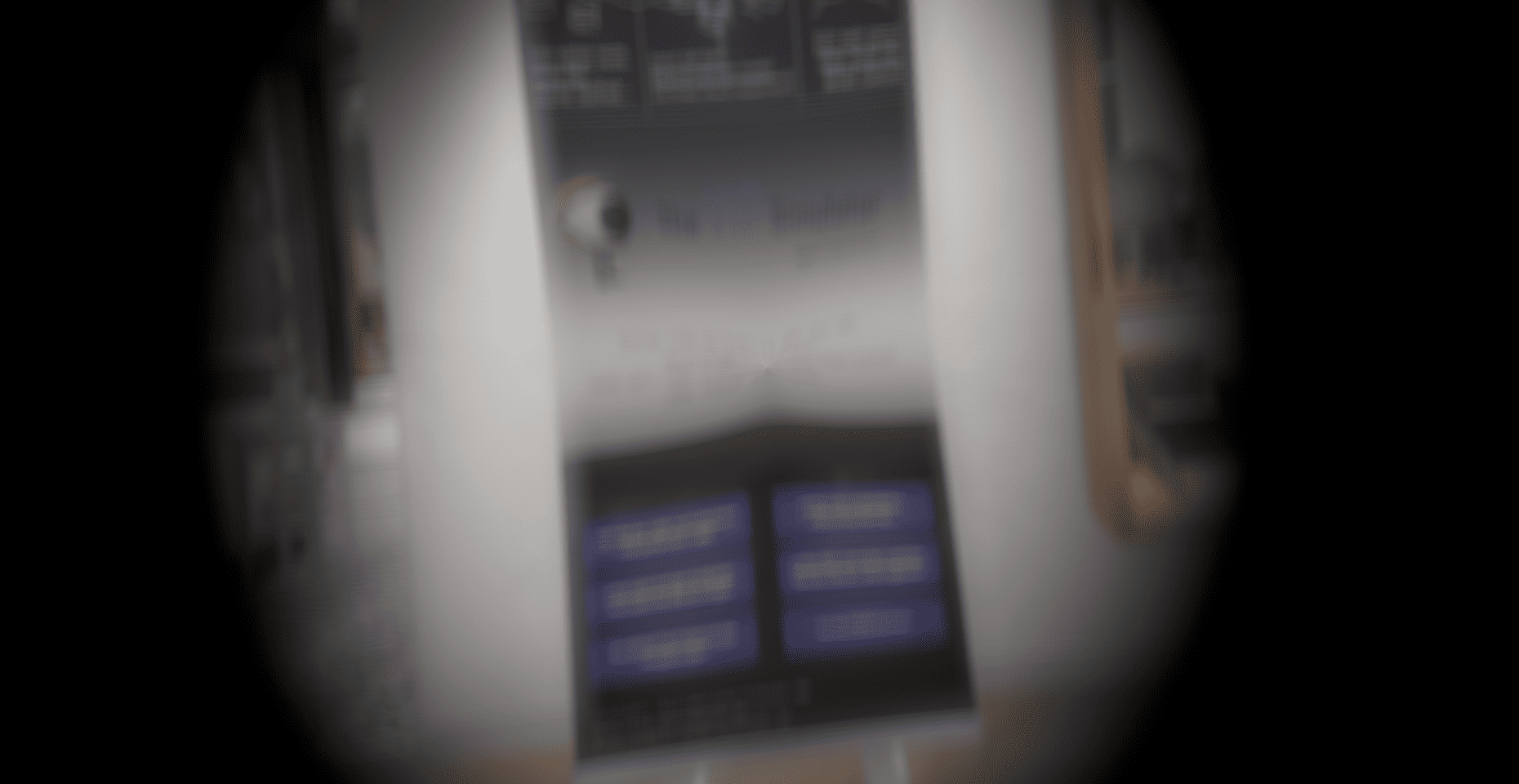 Vorschau aus dem VIP Simulator